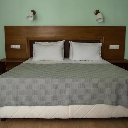 Aleksion Palace Hotel *