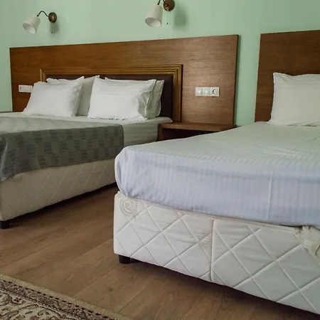 Hotel Aleksion Palace