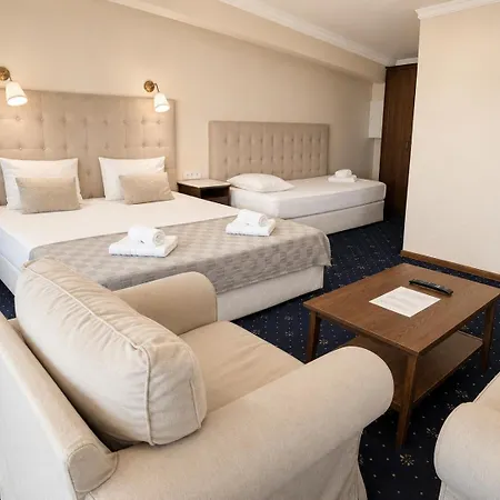 Hotel Aleksov Complex Aleksion Palace 3*