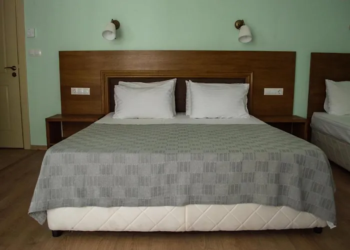 Aleksion Palace Otel *