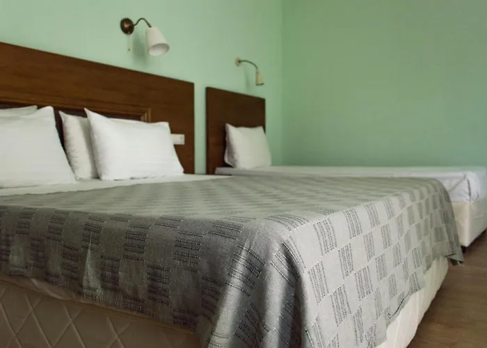 Aleksion Palace Hotel Ognyanovo (Blagoevgrad)